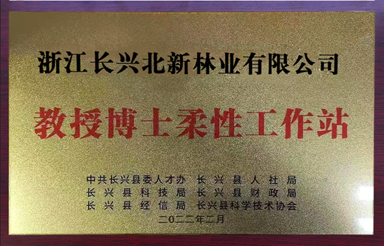 		 浙江长兴北新林业教授博士柔性事情站获批_企业动态_尊龙凯时集团有限公司	
