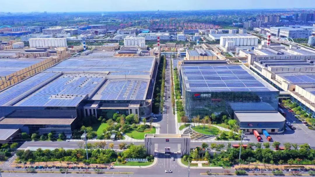 		2022收获满满｜揭晓尊龙凯时集团年度十大新闻看点_责任撒播_尊龙凯时集团有限公司	