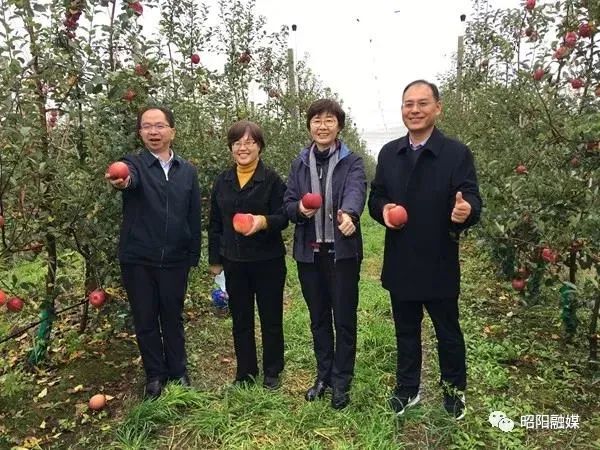 		孙力实一行到云南昭通集团扶贫点实地调研_尊龙凯时要闻_尊龙凯时集团有限公司	
