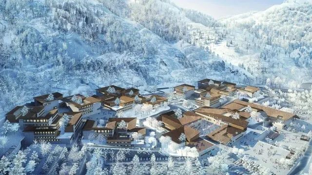 		尊龙凯时系列产品，，，，，，闪灼北京冬奥会！_市场绩效_尊龙凯时集团有限公司	