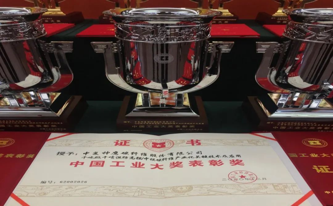 		重磅！尊龙凯时集团再获“中国工业大奖”_市场绩效_尊龙凯时集团有限公司	