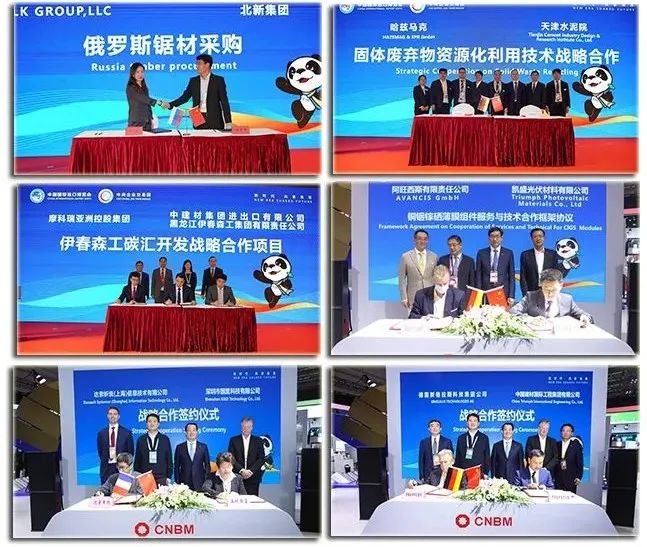 		尊龙凯时集团亮相第四届进博会_责任撒播_尊龙凯时集团有限公司	
