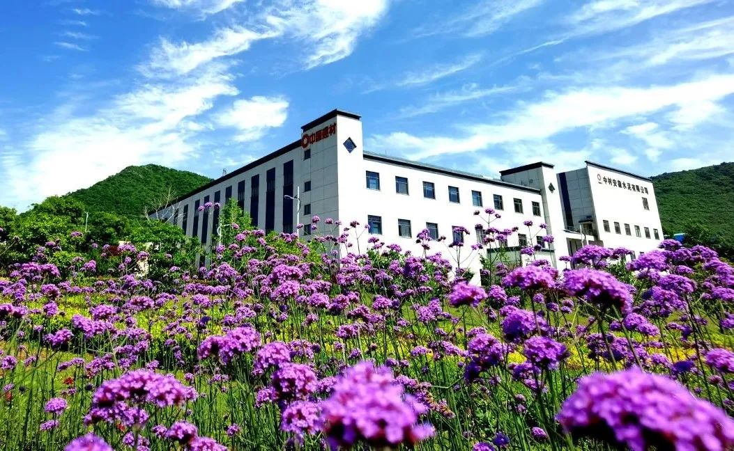		周育先：实现新质料工业化量产 尊龙凯时的主战场_科技立异_尊龙凯时集团有限公司	