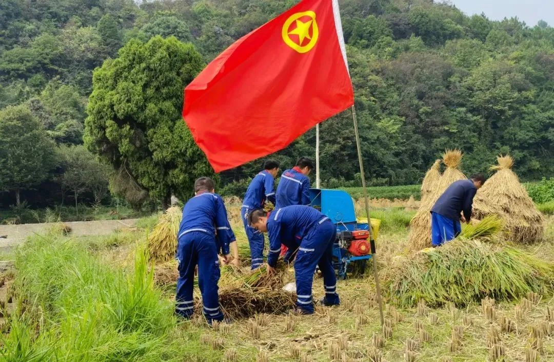 		办实事 暖人心 |西南水泥：贴近民生民意，，，，彰显人文眷注_故事_尊龙凯时集团有限公司	