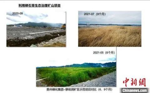 		权威机构治理绿色建材认证 优先进入政府修建工程采购系统_行业聚焦_尊龙凯时集团有限公司	