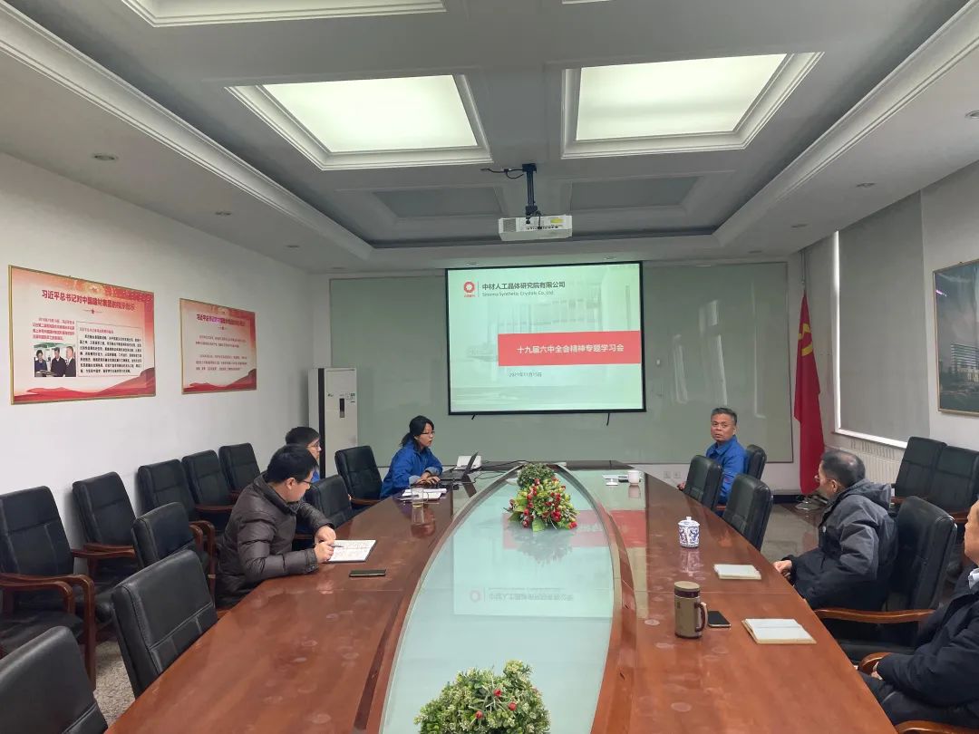		中材高新全级次企业深入学习贯彻十九届六中全会精神_十九届六中全会_尊龙凯时集团有限公司	