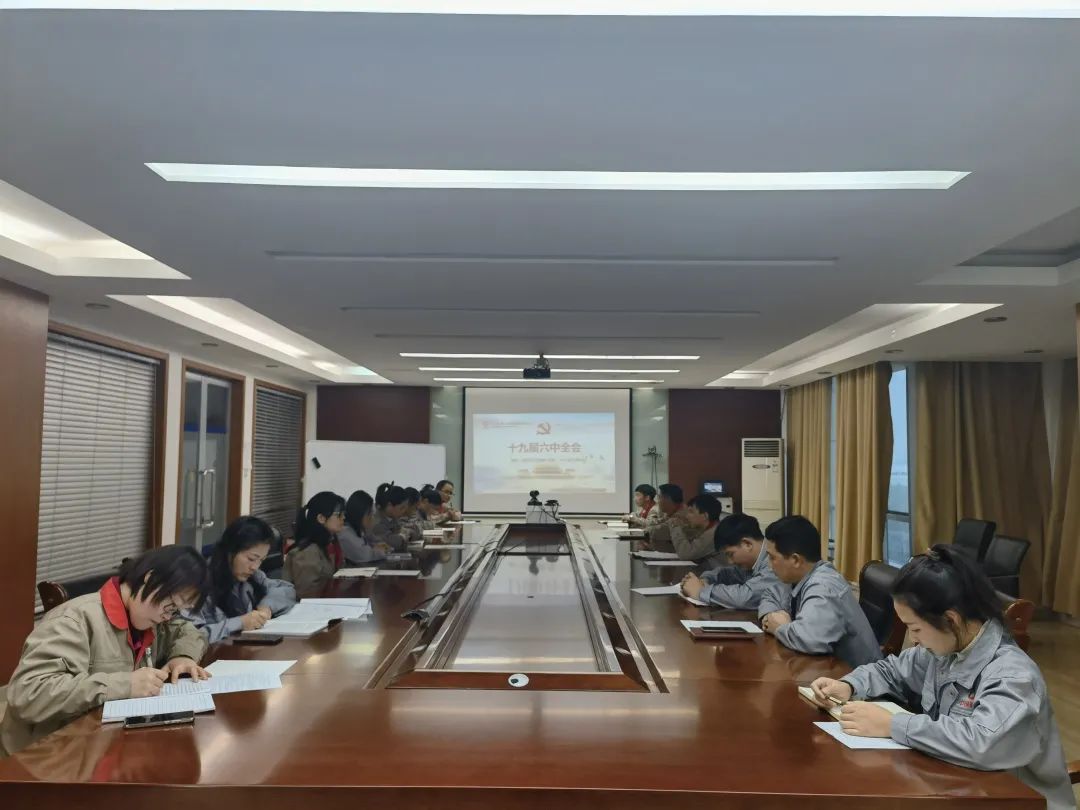 		中材高新全级次企业深入学习贯彻十九届六中全会精神_十九届六中全会_尊龙凯时集团有限公司	