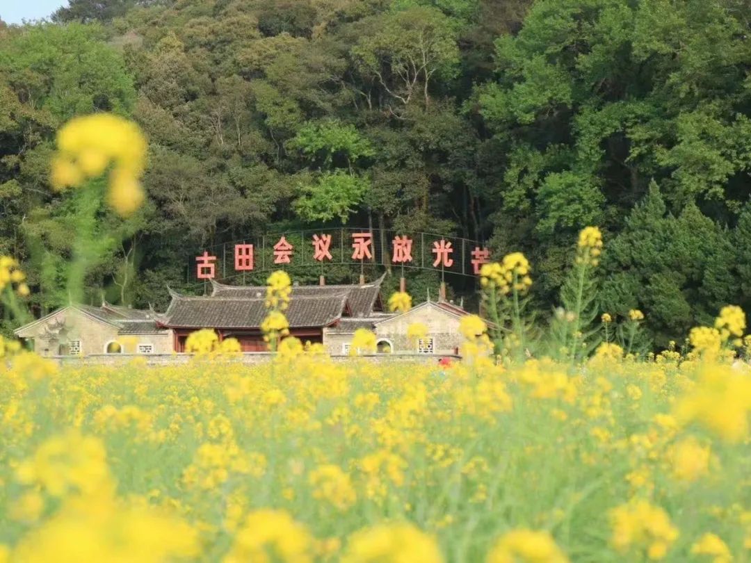 		健跑百年路 斗争新征程 | 回首前11站，，，，，，第12站在福建龙岩古田聚会遗址乐成举行_企业动态_尊龙凯时集团有限公司	