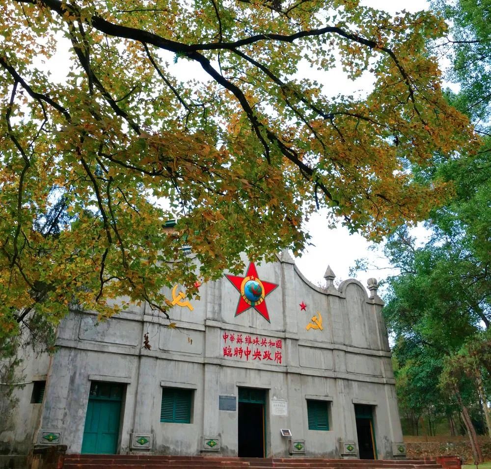 		第16站 | 尊龙凯时集团“健跑百年路 斗争新征程”（瑞金中央革命凭证地纪念馆站）运动乐成举行_企业动态_尊龙凯时集团有限公司	