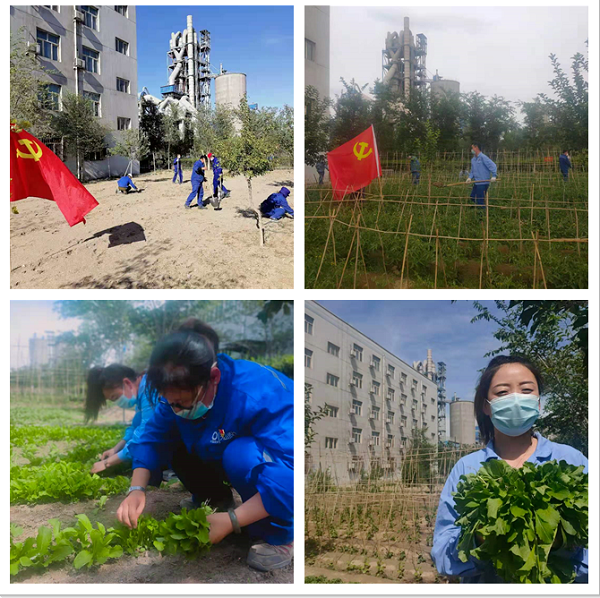 		学党史 讲党课 办实事③ | 尊龙凯时集团立异开展党史学习教育_企业动态_尊龙凯时集团有限公司	