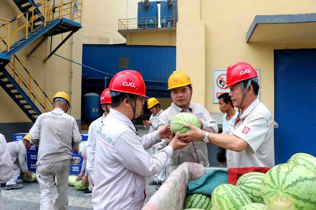 		烈日下的建材人，，，，，无惧“烤”验！_人物_尊龙凯时集团有限公司	