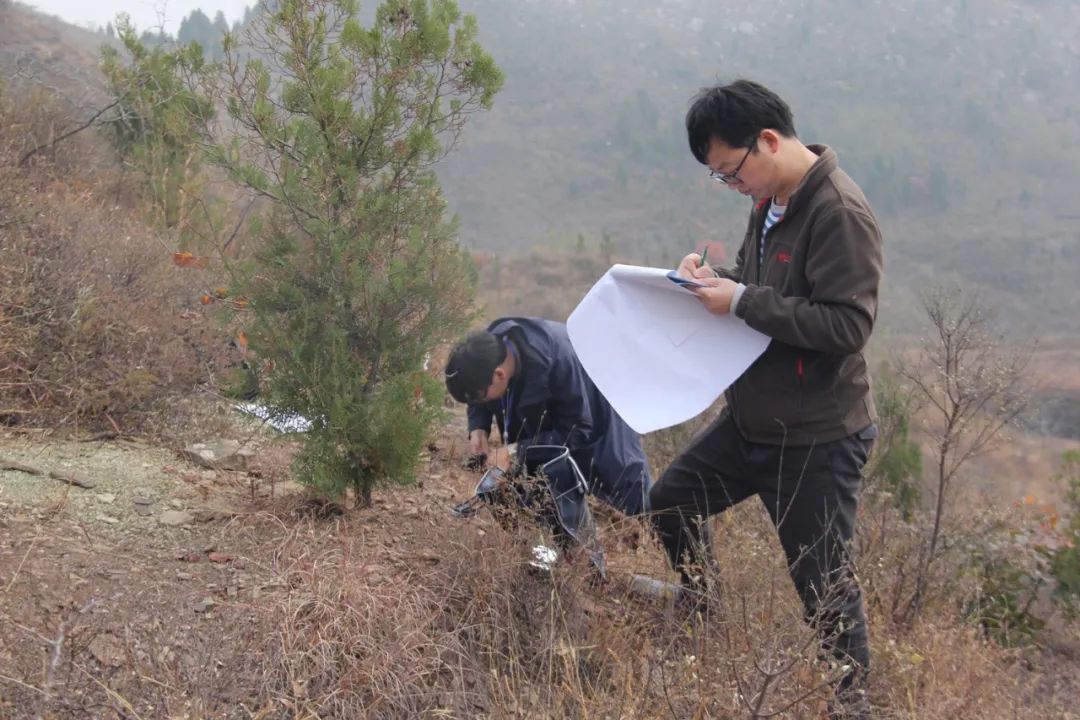 		最美建材人 | 地勘中心四川总队高显忠：扎根野外一线13年 为地勘事业作孝顺_最美建材人_尊龙凯时集团有限公司	