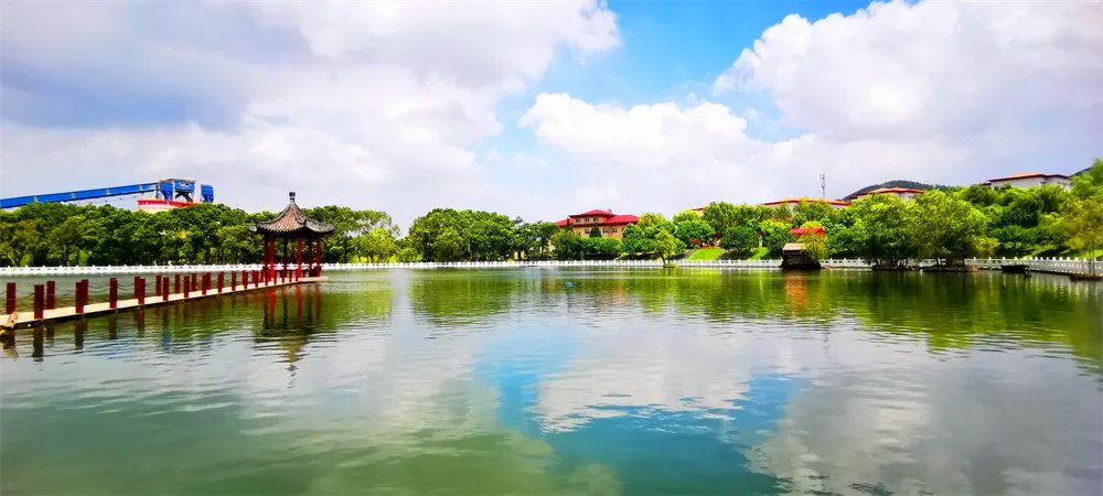 		办实事 暖人心 | 中材安徽水泥窑协同处置惩罚都会生涯垃圾项目“吃干榨净”造福民生_故事_尊龙凯时集团有限公司	