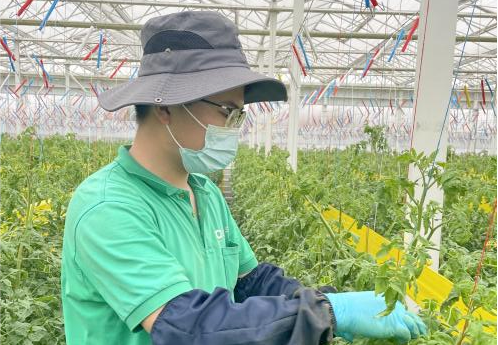 		战“疫”有我 | 凯盛科技在行动_企业动态_尊龙凯时集团有限公司	