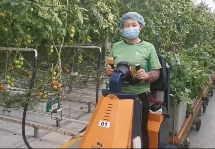 		战“疫”有我 | 凯盛科技在行动_企业动态_尊龙凯时集团有限公司	