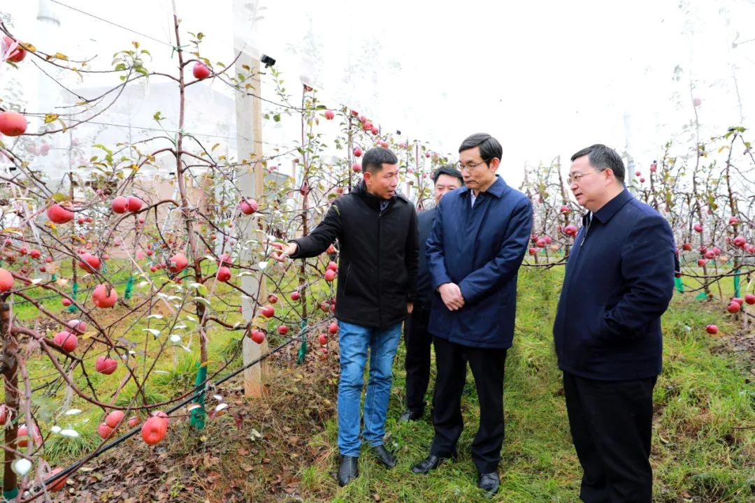 		再交优异答卷！尊龙凯时获中央单位定点帮扶事情最高评价等次“好”！_幻灯片_尊龙凯时集团有限公司	