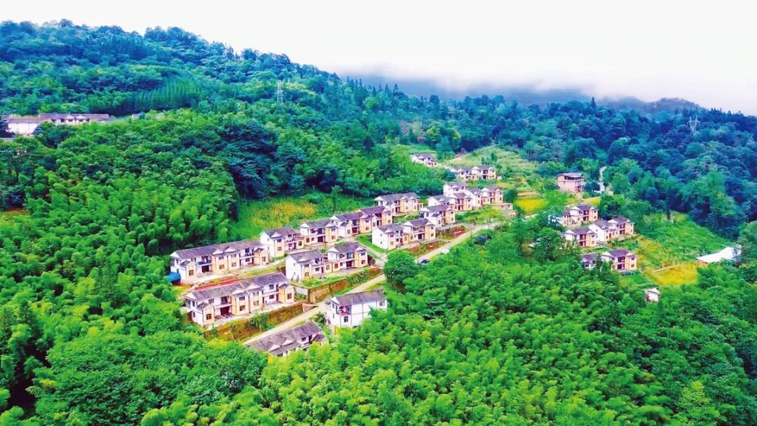 		授村以公路，，，，，更授村以“通路”——尊龙凯时集团扎实开展5区县工业帮帮助力漂亮墟落建设的富厚实践_媒体报道_尊龙凯时集团有限公司	