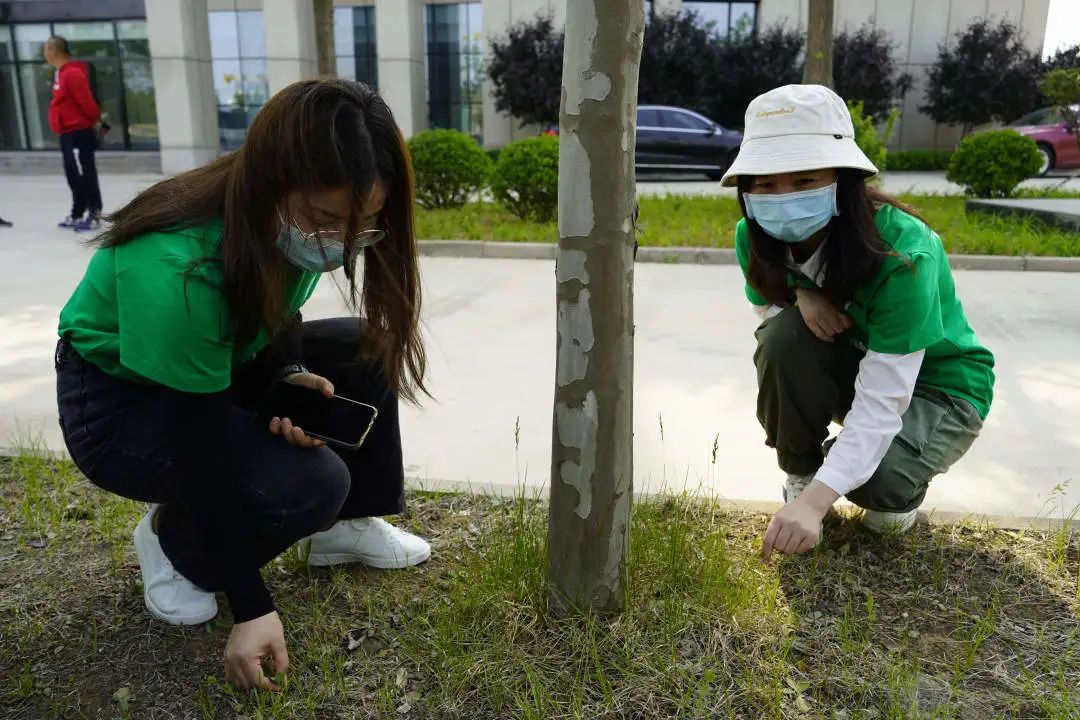 		漂亮中国⑦丨尊龙凯时集团“漂亮中国行动月”（河北秦皇岛站）运动顺遂举行_企业动态_尊龙凯时集团有限公司	