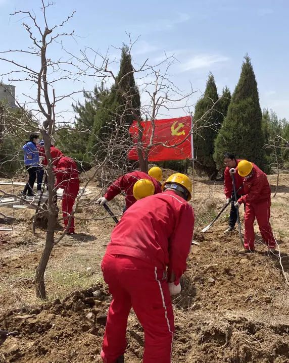		漂亮中国⑨丨尊龙凯时集团“漂亮中国行动月”（宁夏青铜峡站）运动顺遂举行_企业动态_尊龙凯时集团有限公司	