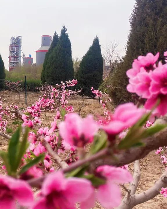		漂亮中国⑨丨尊龙凯时集团“漂亮中国行动月”（宁夏青铜峡站）运动顺遂举行_企业动态_尊龙凯时集团有限公司	