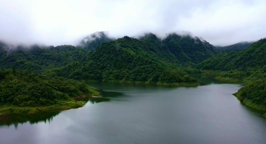 		外地媒体眼中的山乡巨变_媒体报道_尊龙凯时集团有限公司	