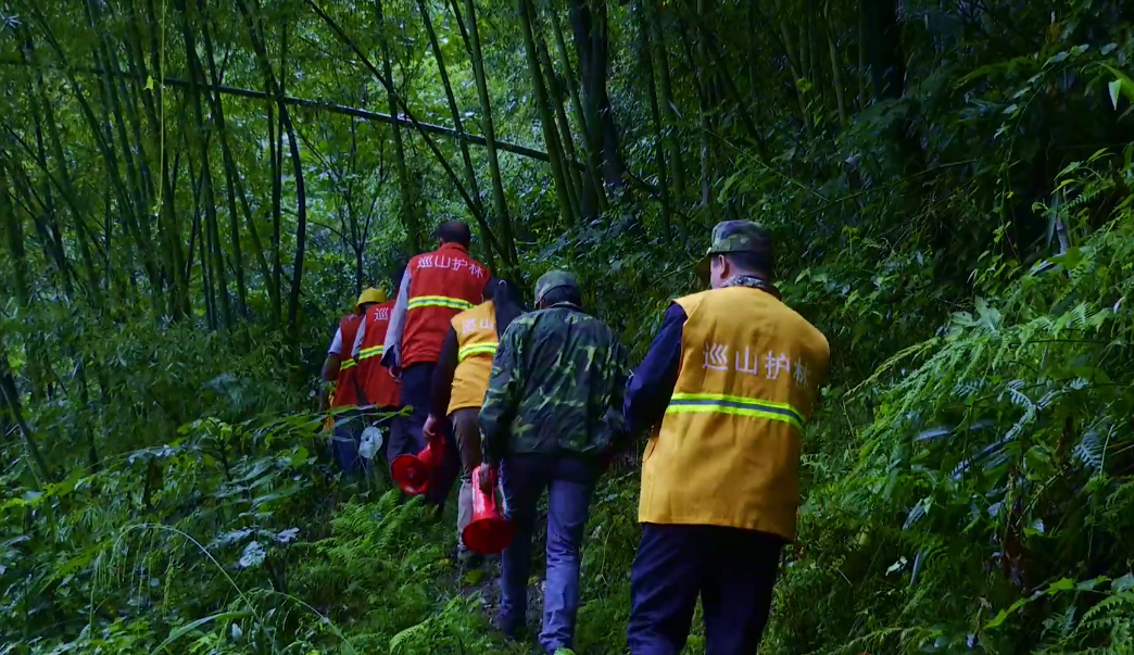 		外地媒体眼中的山乡巨变_媒体报道_尊龙凯时集团有限公司	