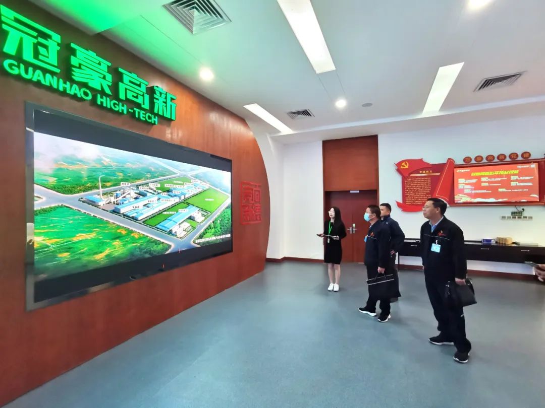 		信心2022 | 地勘中心茂名新质料：全力打造海内一流的高岭土工业基地_企业动态_尊龙凯时集团有限公司	