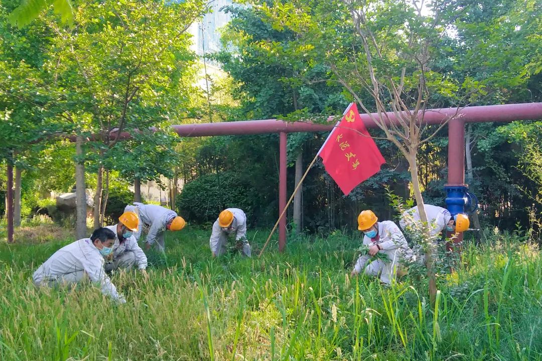		漂亮中国?丨尊龙凯时集团“漂亮中国行动月”（山东站）运动乐成举行_企业动态_尊龙凯时集团有限公司	