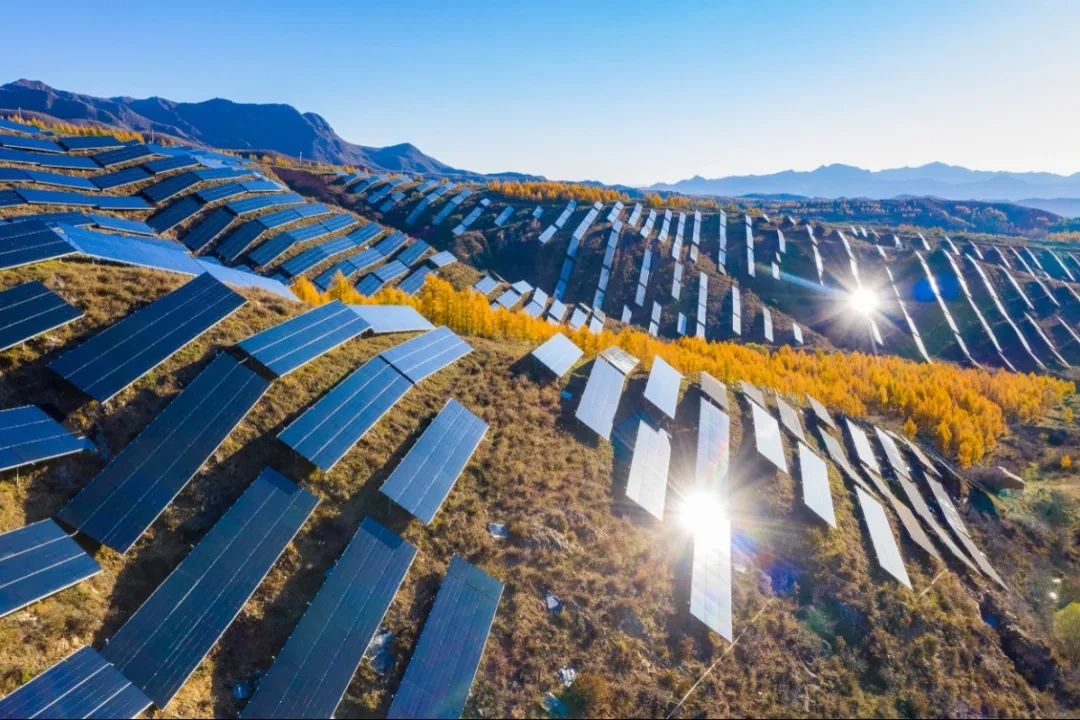 		信心2022 | 凯盛科技：传承刷新立异基因，，，坚定不移跑好跑赢“3+1”战略赛道_企业动态_尊龙凯时集团有限公司	