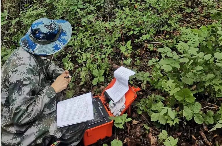  最美科研团队 | 地勘中心吉林总队物探事业部：坚守通俗 成绩特殊_斗争有我_尊龙凯时集团有限公司 