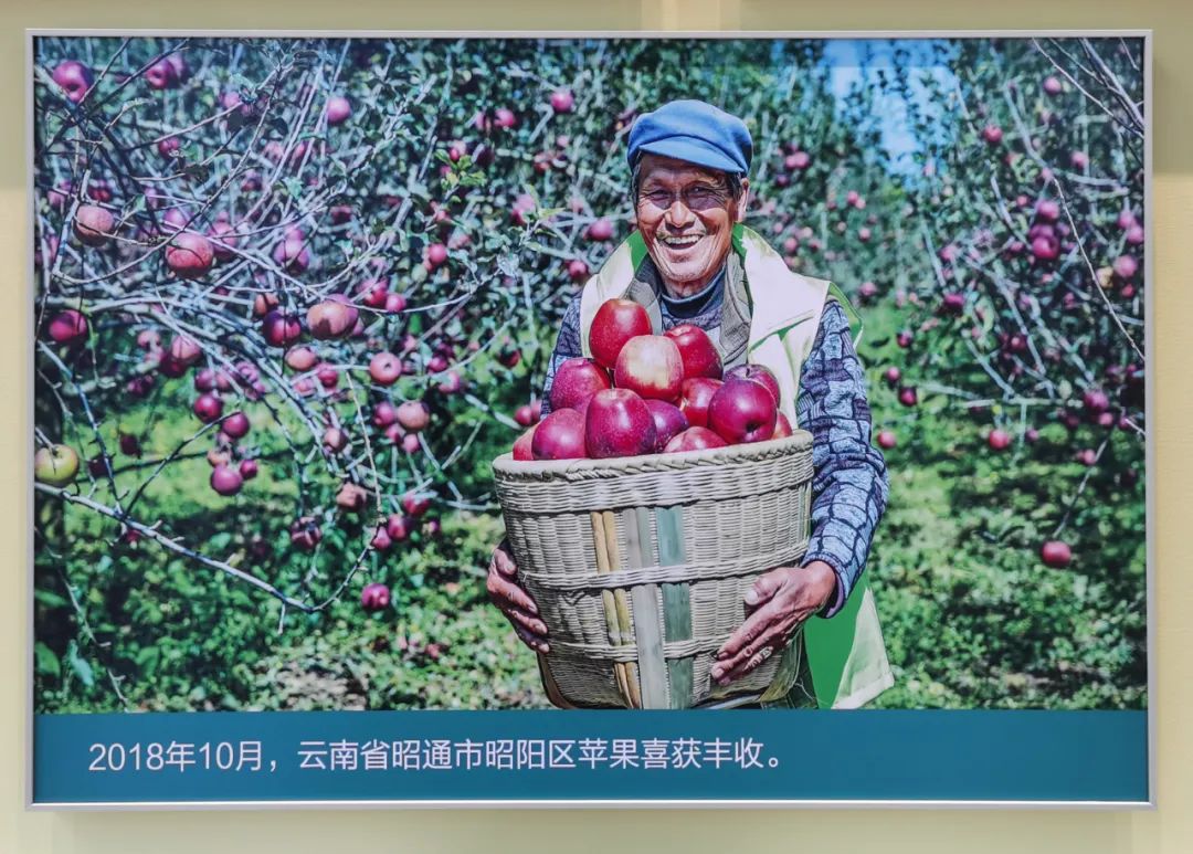  尊龙凯时集团干部职工旅行“奋进新时代”主题成绩展丨29项建材元素突出立异与责任_喜迎二十大幻灯片_尊龙凯时集团有限公司 