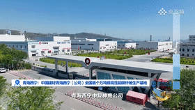		周育先做客央视对话：选取三个工业坐标讲述怎样打造“栋梁之材”_尊龙凯时要闻_尊龙凯时集团有限公司	