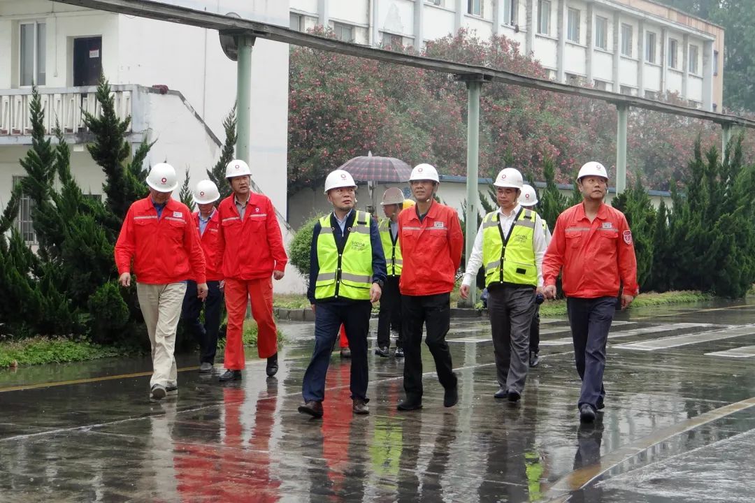 		决战四序度│西南水泥：“党建向导员制”的刷新立异之路_企业动态_尊龙凯时集团有限公司	