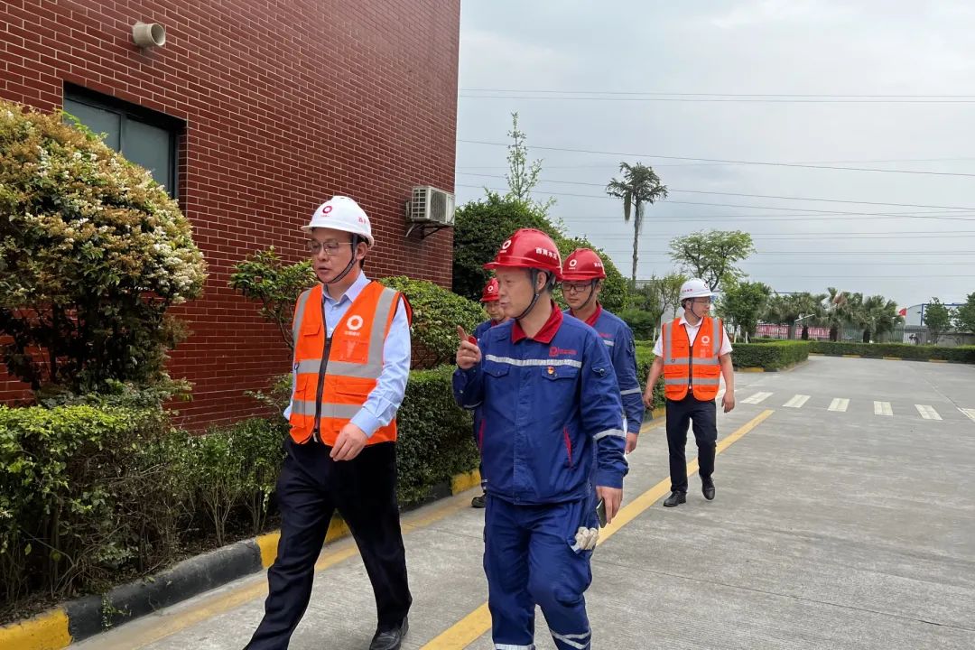 		决战四序度│西南水泥：“党建向导员制”的刷新立异之路_企业动态_尊龙凯时集团有限公司	