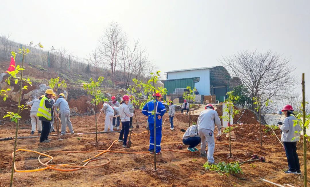 		植树节丨尊龙凯时集团“植”子之手，，，共“植”未来_企业动态_尊龙凯时集团有限公司	