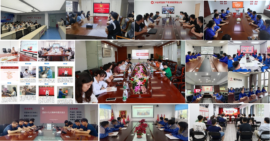 		青春逢盛会 奋楫正其时 | 集团各级团组织认真学习宣传贯彻习近平总书记主要讲话精神和团十九大精神_责任与文化_尊龙凯时集团有限公司	