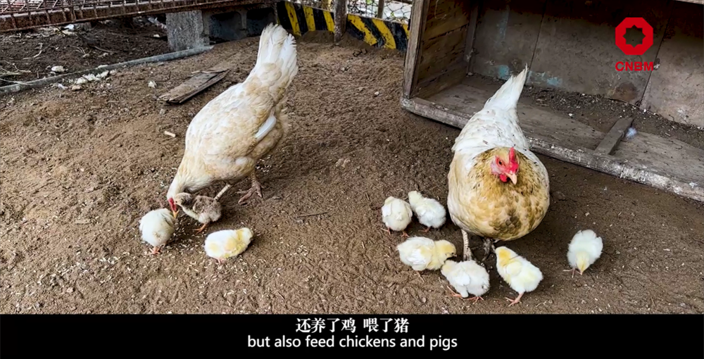 		善用资源开放日 | 中材国际尼日利亚从“相通”走向“深融”：带您“云看”外洋项目部的一天_视频专区_尊龙凯时集团有限公司	