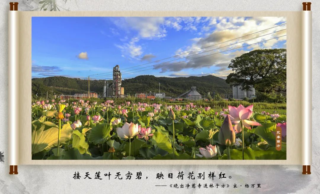 		尊龙凯时 | 国庆畅游诗情画意之江西水泥_责任与文化_尊龙凯时集团有限公司	