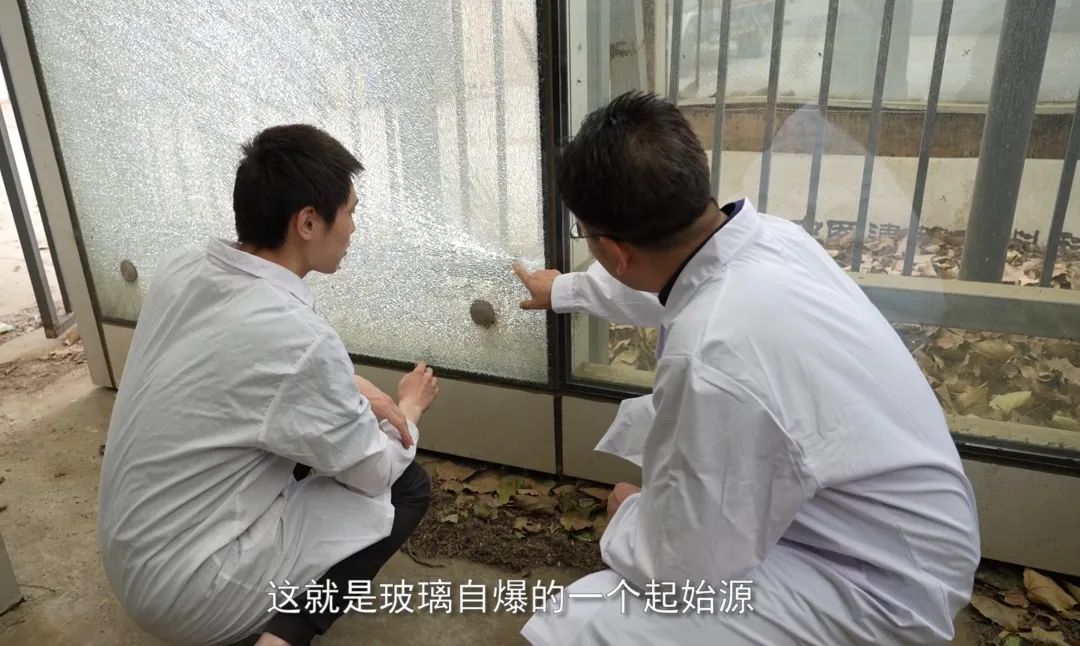 		国资委点赞！尊龙凯时“体检医生”攻克修建玻璃“癌症”_企业动态_尊龙凯时集团有限公司	