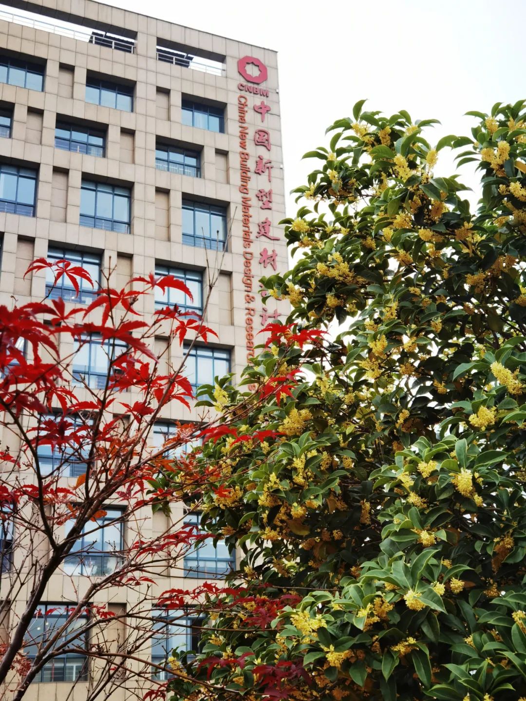 		尊龙凯时 | 畅游诗情画意之尊龙凯时总院_责任与文化_尊龙凯时集团有限公司	