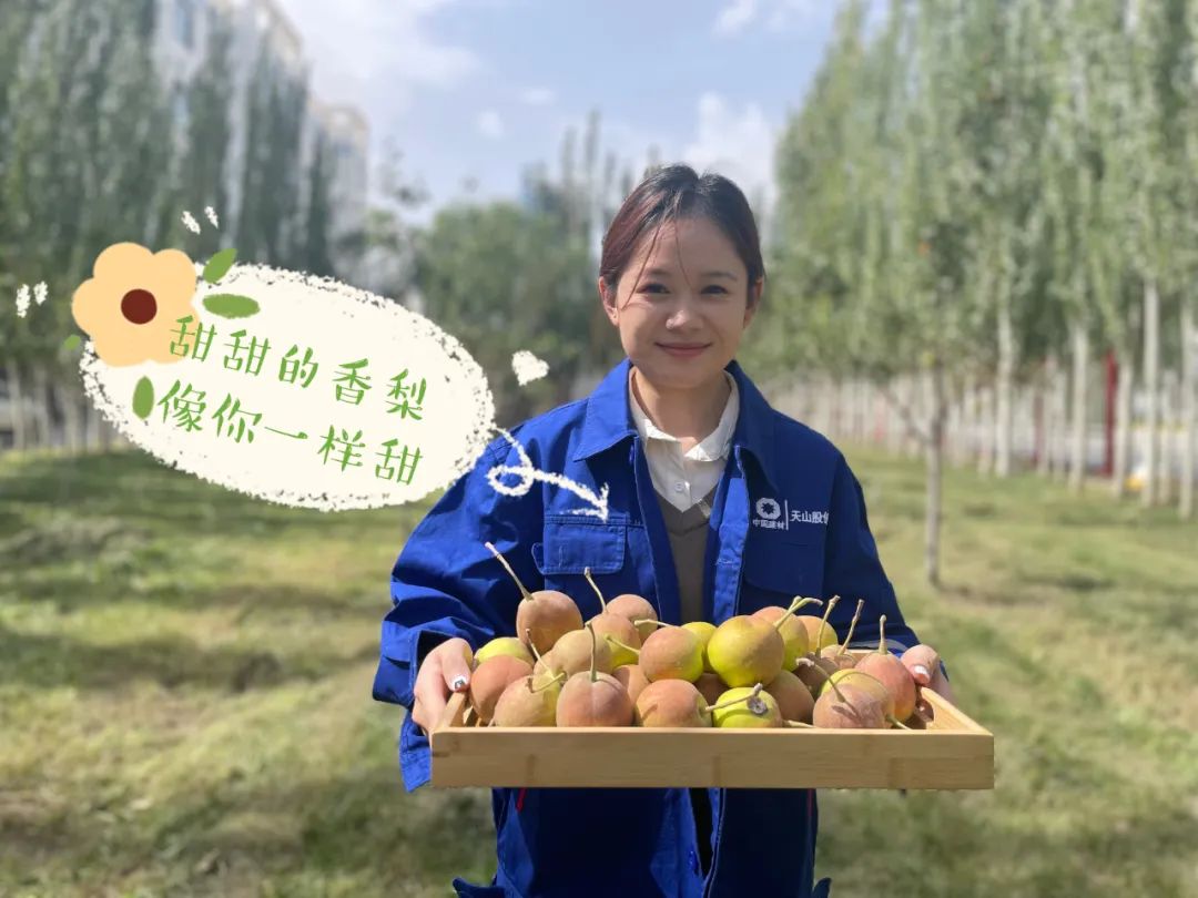 		 大丰收！来新疆天山水泥厂开心农场尝尝“秋”的味道~ _责任与文化_尊龙凯时集团有限公司	