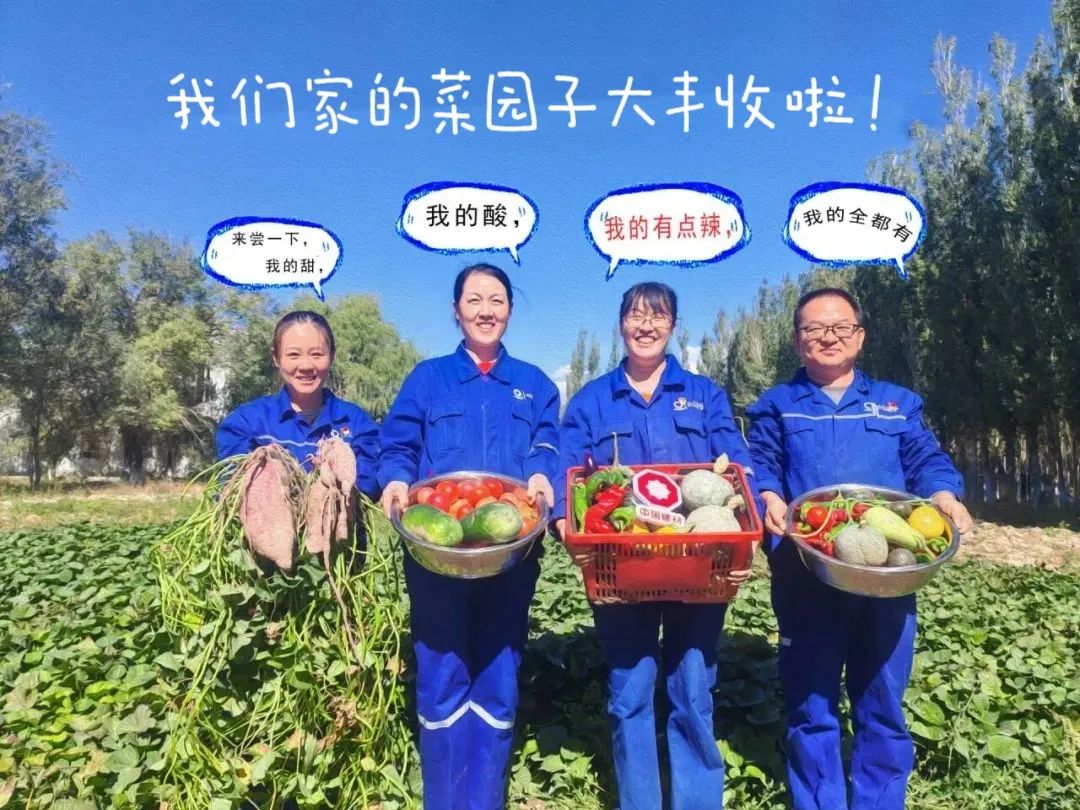 		 大丰收！来新疆天山水泥厂开心农场尝尝“秋”的味道~ _责任与文化_尊龙凯时集团有限公司	
