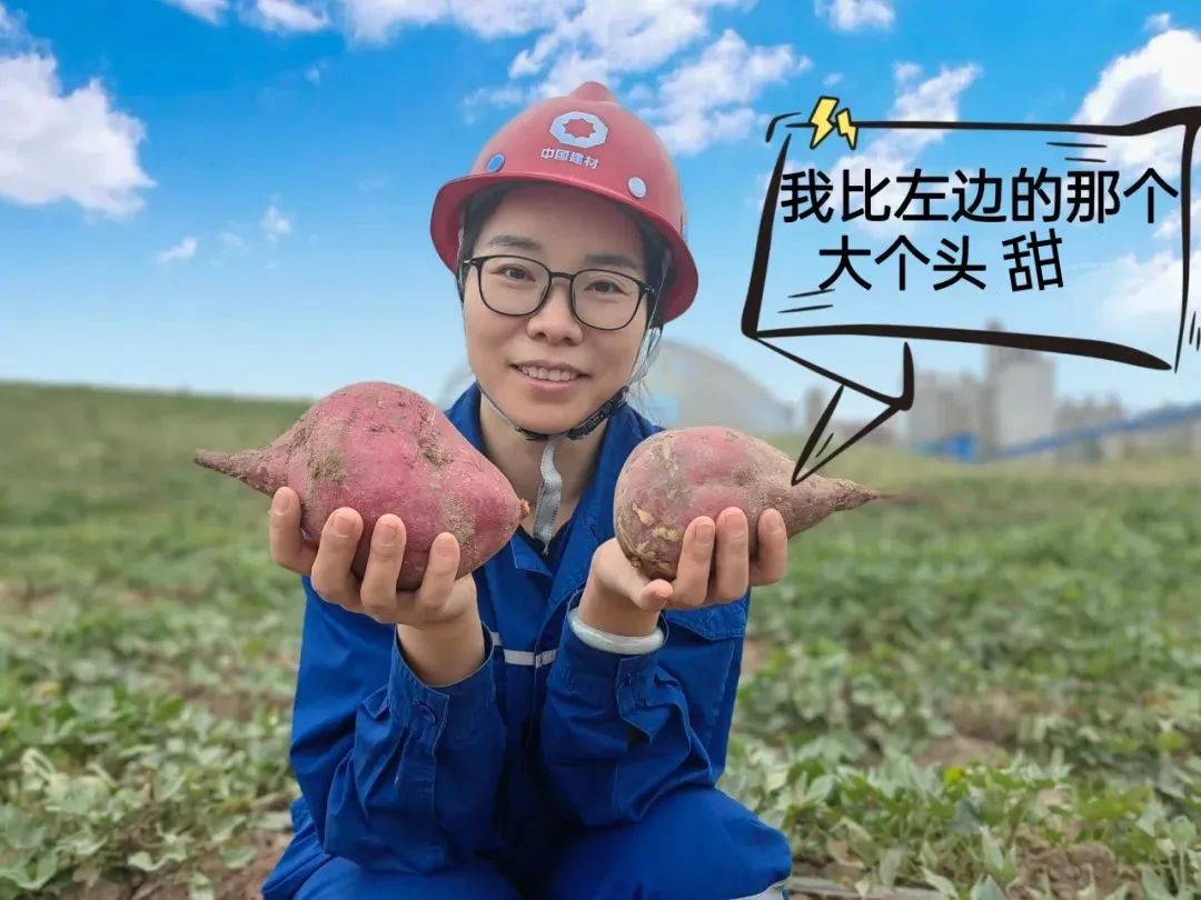 		 大丰收！来新疆天山水泥厂开心农场尝尝“秋”的味道~ _责任与文化_尊龙凯时集团有限公司	