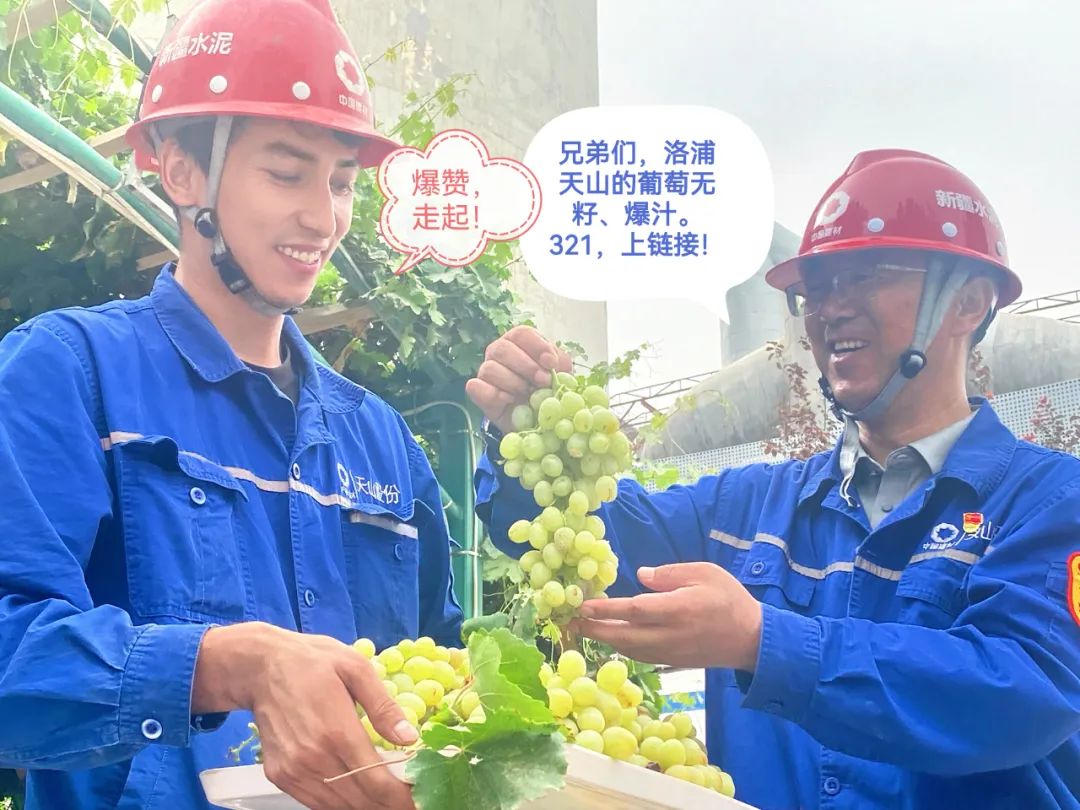 		 大丰收！来新疆天山水泥厂开心农场尝尝“秋”的味道~ _责任与文化_尊龙凯时集团有限公司	