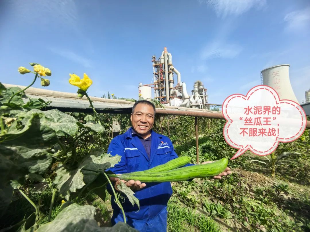 		 大丰收！来新疆天山水泥厂开心农场尝尝“秋”的味道~ _责任与文化_尊龙凯时集团有限公司	