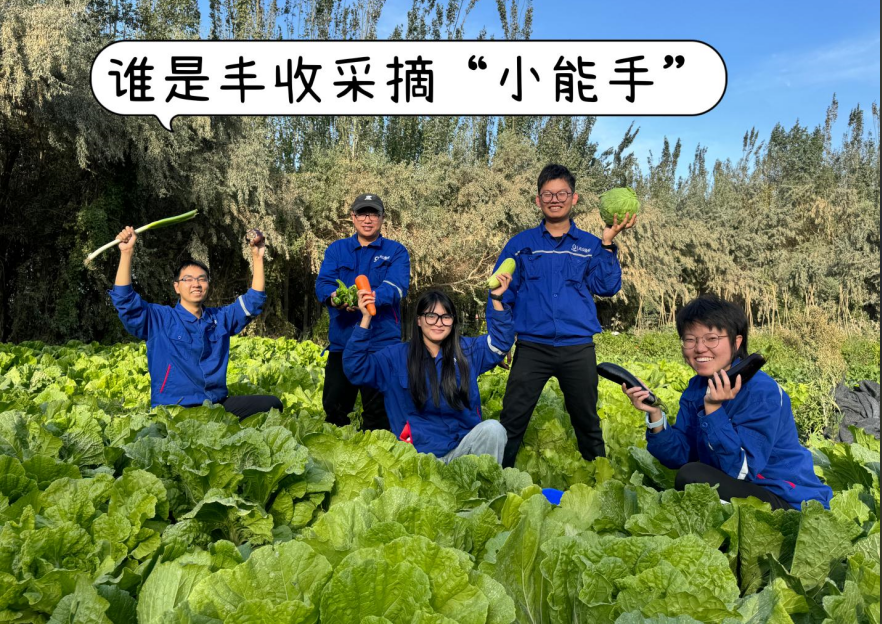 		 大丰收！来新疆天山水泥厂开心农场尝尝“秋”的味道~ _责任与文化_尊龙凯时集团有限公司	