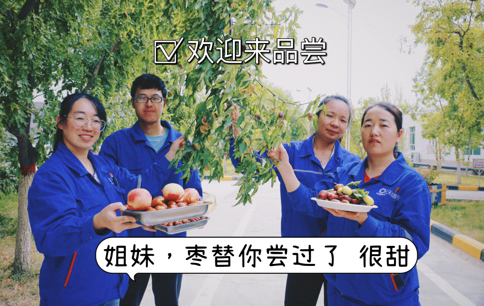 		 大丰收！来新疆天山水泥厂开心农场尝尝“秋”的味道~ _责任与文化_尊龙凯时集团有限公司	