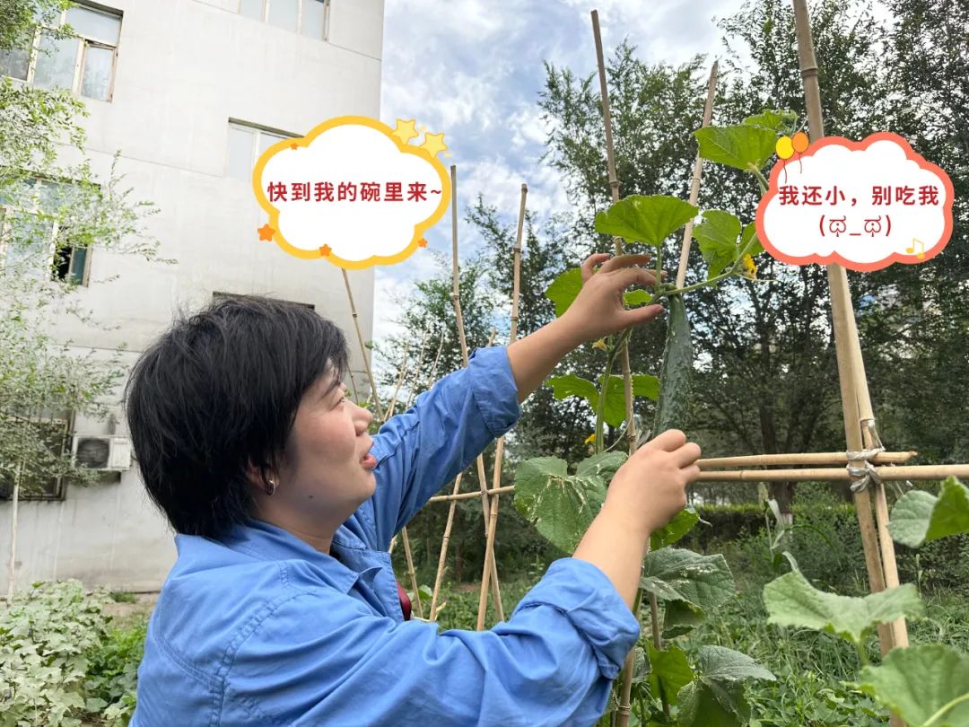 		 大丰收！来新疆天山水泥厂开心农场尝尝“秋”的味道~ _责任与文化_尊龙凯时集团有限公司	