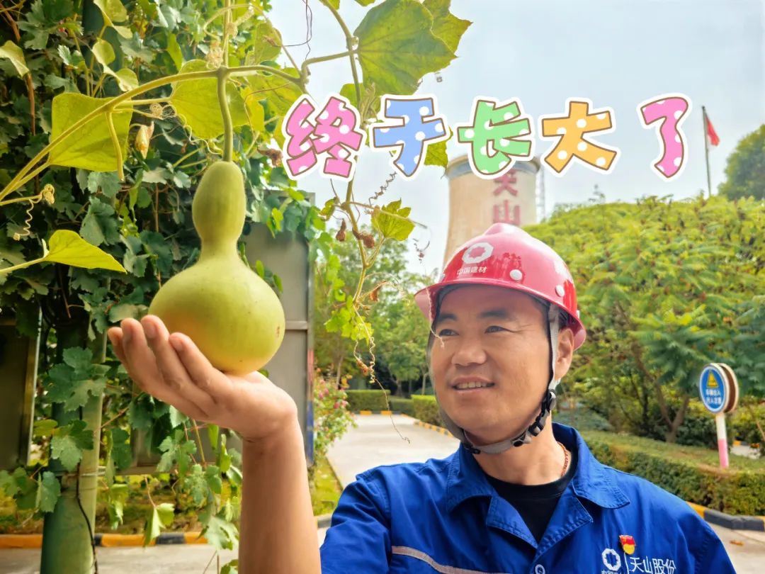 		 大丰收！来新疆天山水泥厂开心农场尝尝“秋”的味道~ _责任与文化_尊龙凯时集团有限公司	