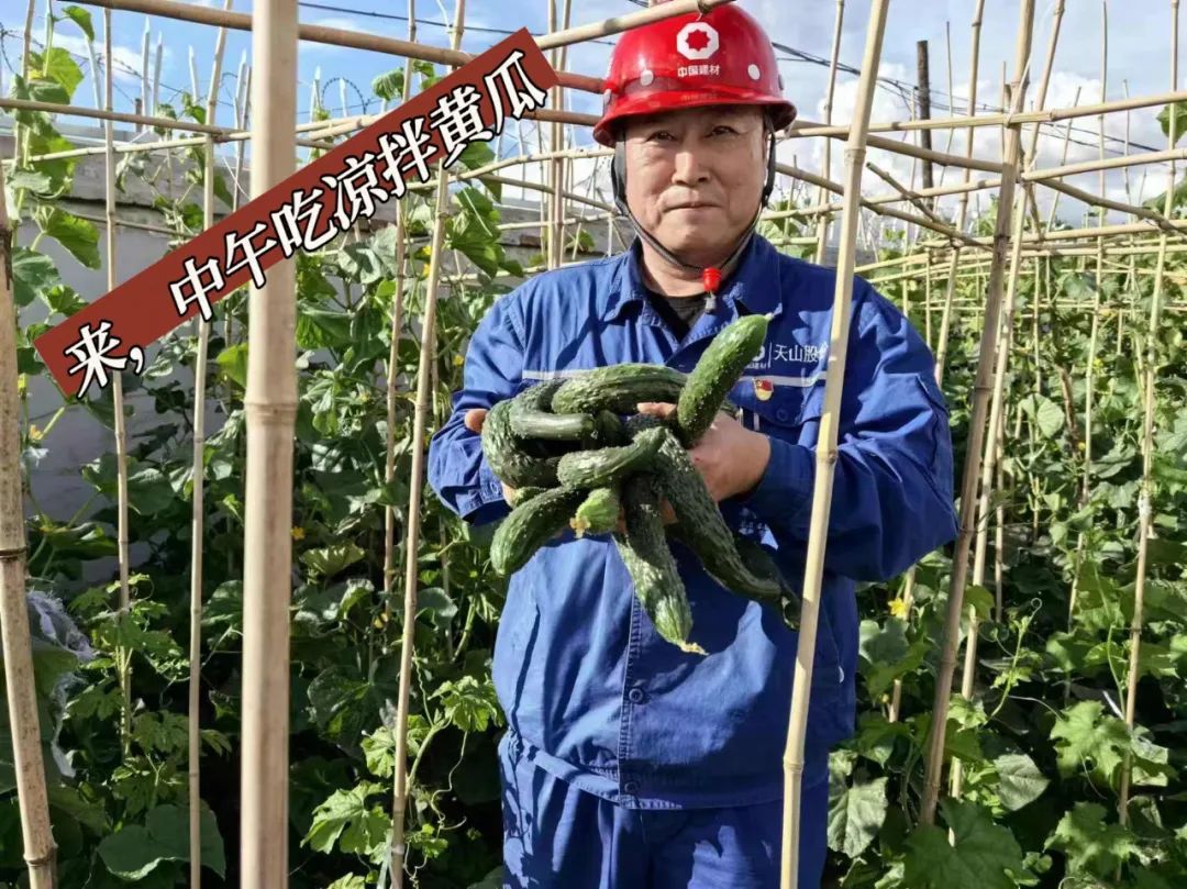 		 大丰收！来新疆天山水泥厂开心农场尝尝“秋”的味道~ _责任与文化_尊龙凯时集团有限公司	